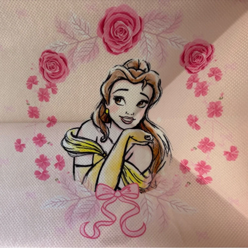 Disney Princess 6-Shelf Hanging Closet Organizer